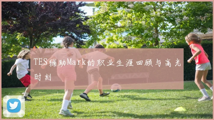 TES辅助Mark的职业生涯回顾与高光时刻